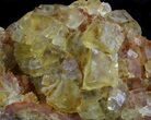 Lustrous, Yellow Cubic Fluorite Crystals - Morocco #37484-4